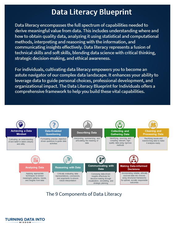 Data Literacy Blueprint Guide