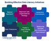 Building Effective Data Literacy Initiatives