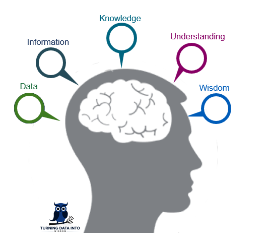 From Data to Wisdom. Unleashing the Power of Data