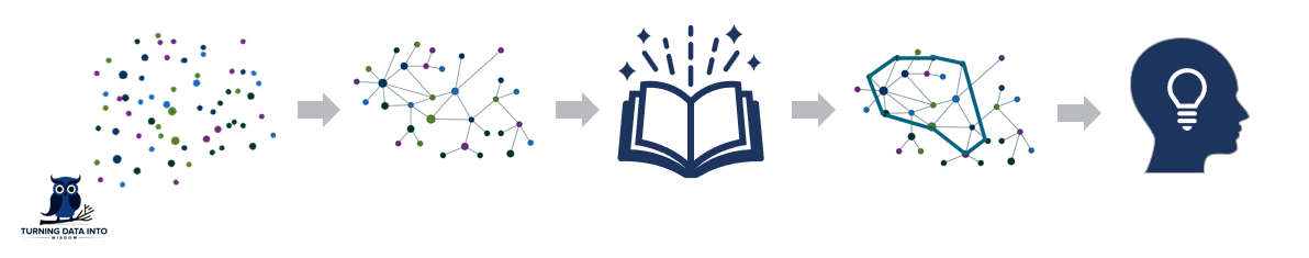 Turning Data into Wisdom. The Transformative Journey to Informed Decisions